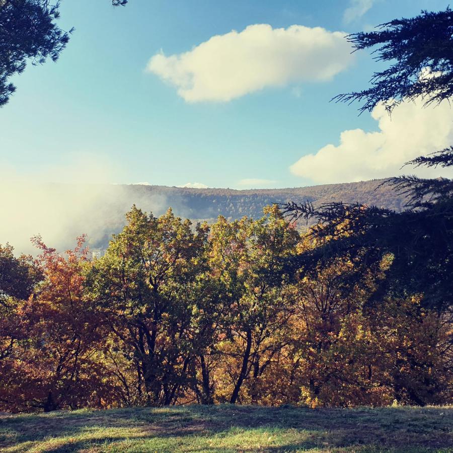 Villa Poggio Fagianino Sant'Albino Εξωτερικό φωτογραφία